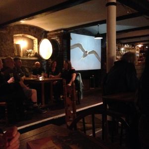 The Wildlife Discotheque Show