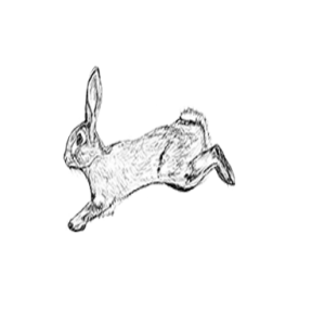 The Agile Rabbit Show