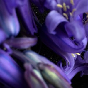 Innermost Essence