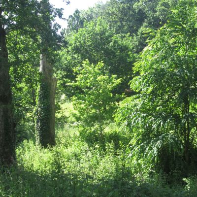 Our Community - Dartington and Totnes