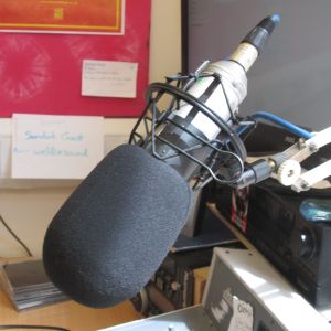 The Buzzin Beats Show